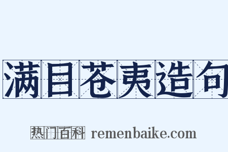 满目苍夷造句是什么意思的图片